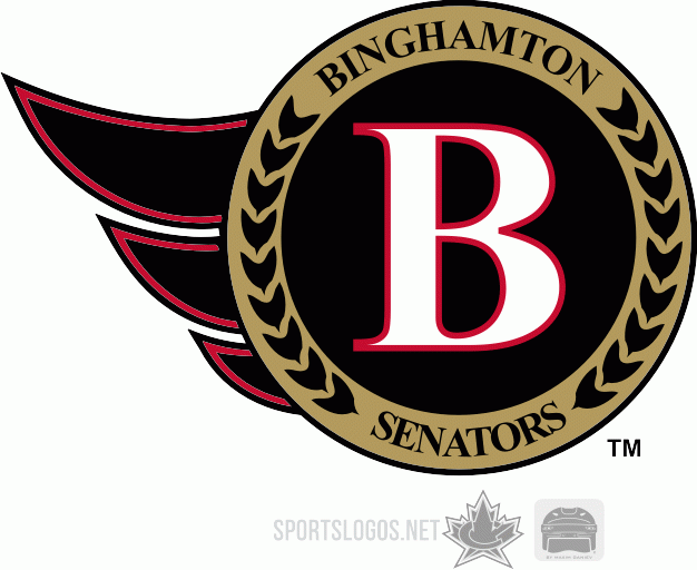 Binghamton Senators 2003 04-2006 07 Secondary Logo iron on transfers for clothing
